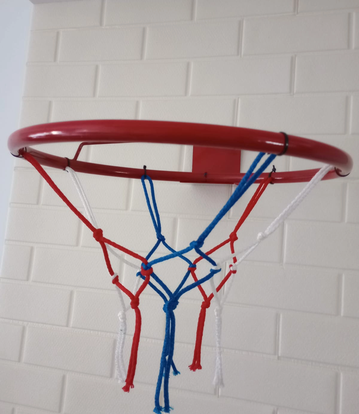 Aro de Basquet con Red