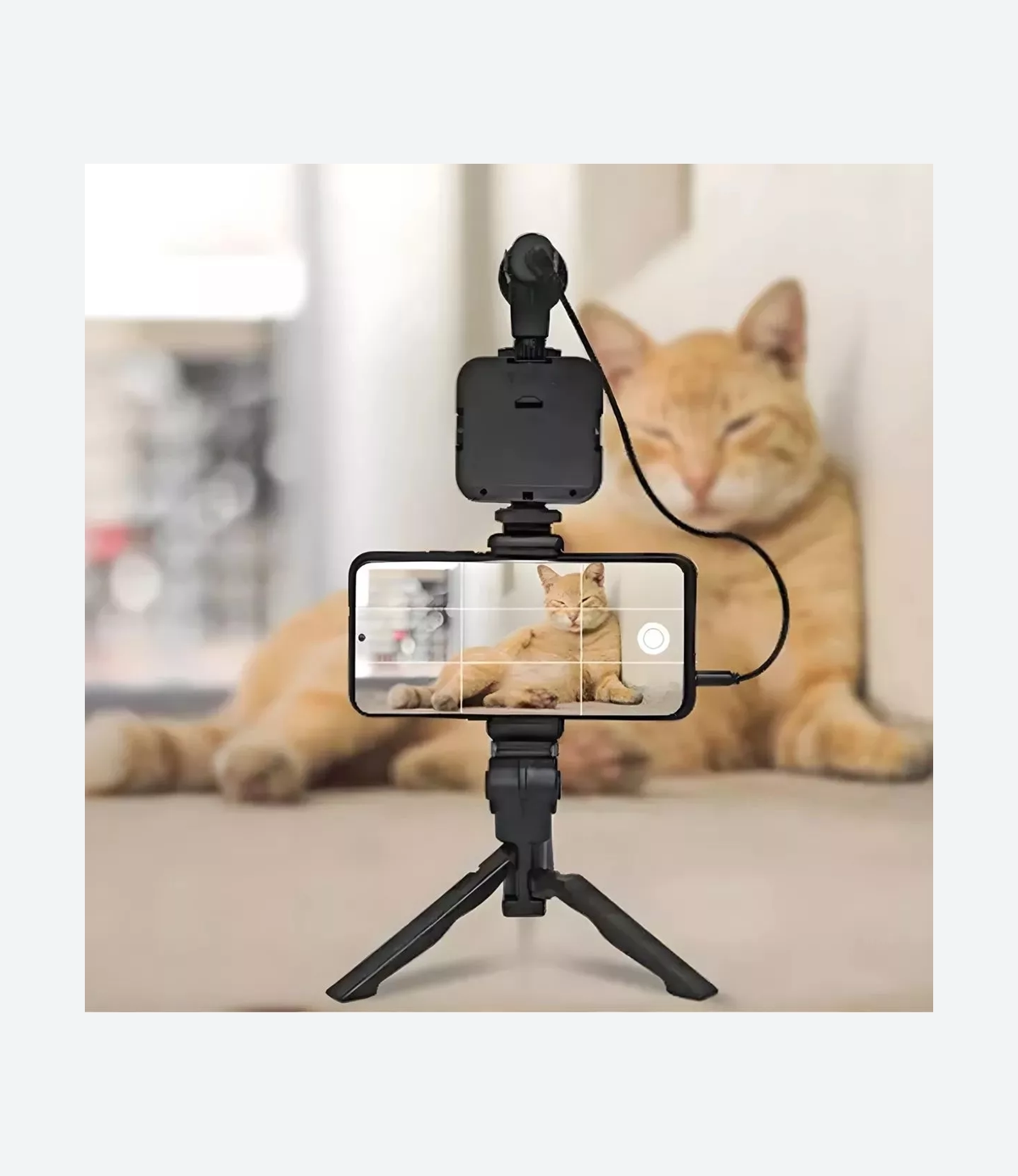 Kit Streaming Video Micrófono Trípode Led Iluminador Celular - Imagen 8