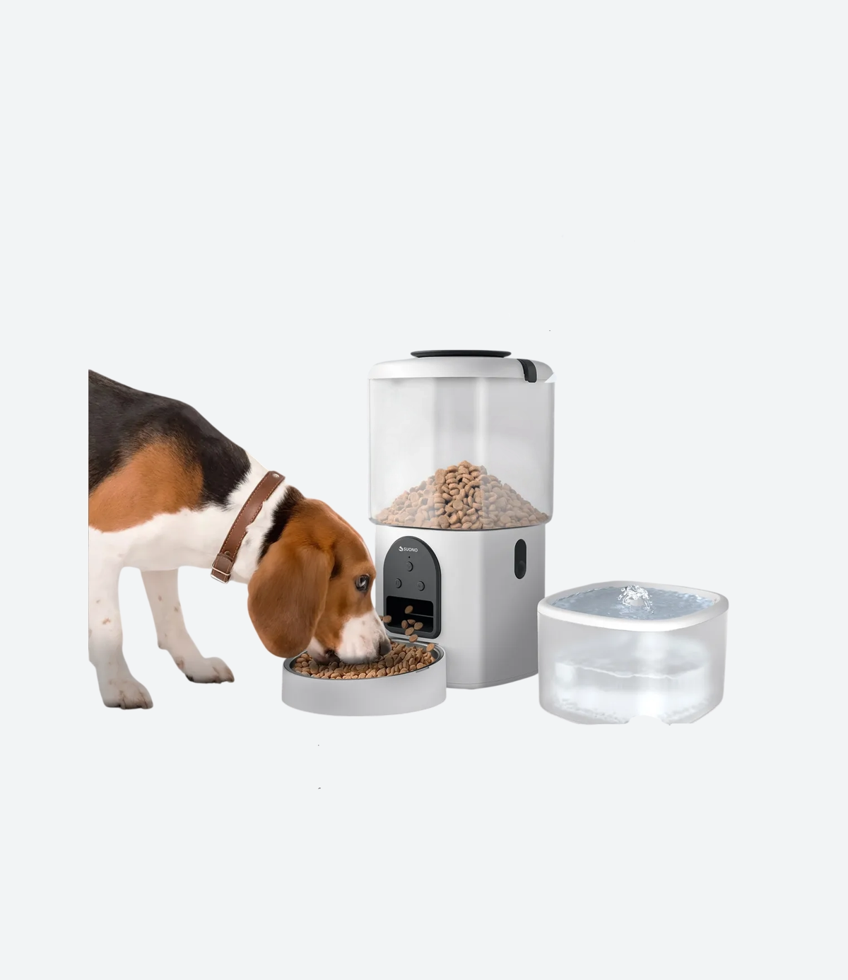 Comedero Bebedero Mascotas Camara - 02