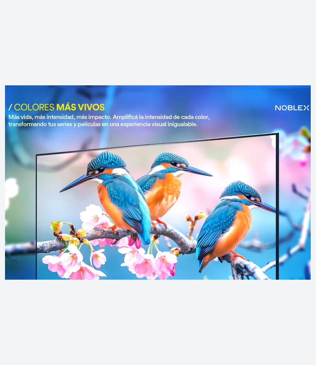 Smart TV led 32 91dv32x7080 - 06