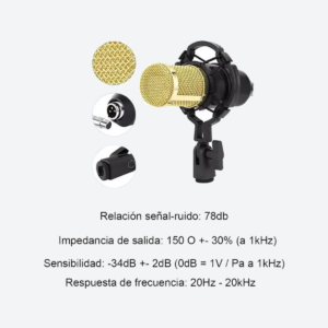 Microfono Condensador Unidireccional Skyway M5 - 02