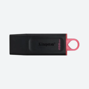 Pendrive Kingstone Exodia 256GB - 01